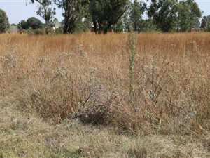 1985 m² Land available in Highbury
