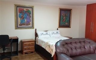 Studio apartment in Morninghill