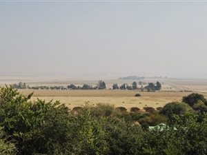30 ha Farm in Grootvlei
