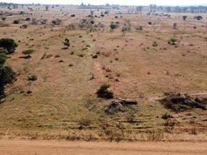 21 ha Farm in Leeukuil AH