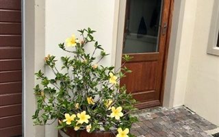 1 Bedroom Apartment in Noordhaven