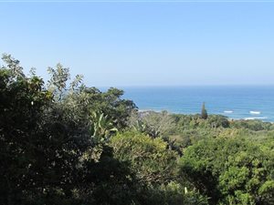 1199 m² Land available in Trafalgar