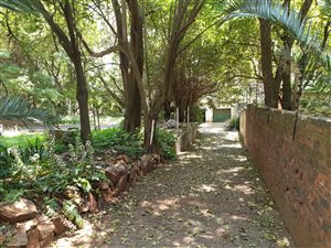 2600 m² Land available in Observatory