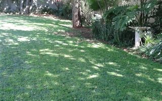 1 Bedroom House in Waverley
