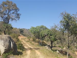 1.4 ha Land available in Nelspruit