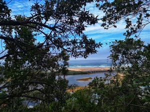 1254 m² Land available in Wilderness