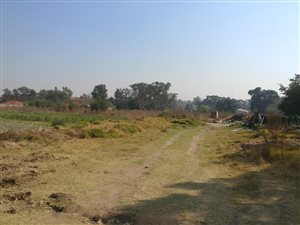1 ha Farm in Linbro Park
