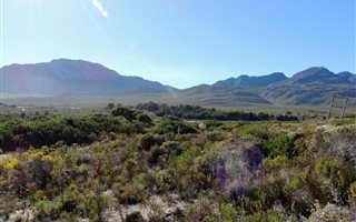 800 m² Land available in Pringle Bay