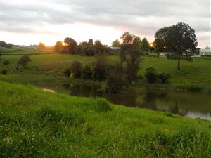 16 ha Farm in Lidgetton