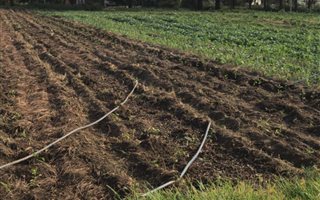 2 ha Agricultural Holding in Glen Austin AH