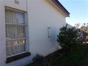 3 Bed House in Despatch