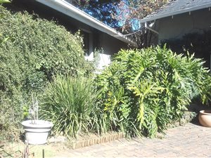 4 Bed House in Sunningdale
