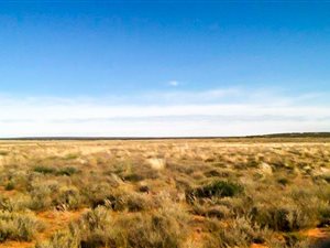 4300 ha Farm in Hopetown