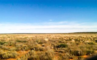 4300 ha Farm in Hopetown