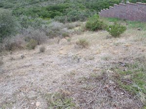 823 m² Land available in Seemeeu Park