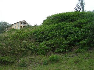 1426 m² Land available in La Mercy