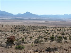 4522 ha Farm in Graaff Reinet