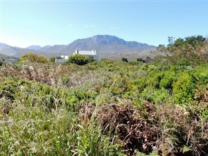 768 m² Land available in Pringle Bay