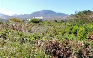 768 m² Land available in Pringle Bay