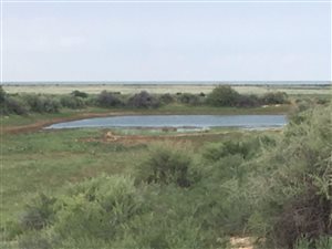 1178 ha Farm in Hopetown