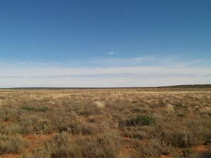 1178 ha Farm in Hopetown