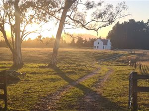 54 ha Farm with House in The Crags