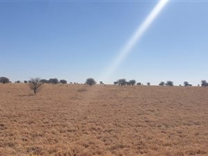 Farm in Vryburg