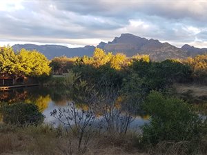 21 ha Smallholding in Hoedspruit
