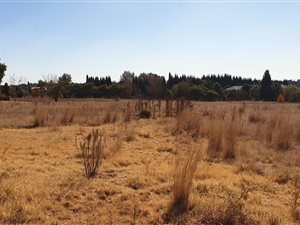 1 ha Land available in Grootfontein Estate