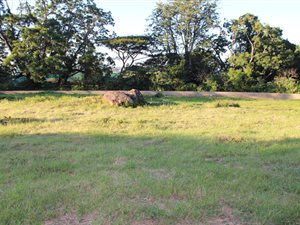 799 m² Land available in White River
