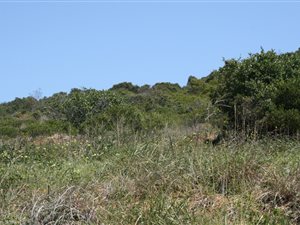 3968 m² Land available in Voorbaai