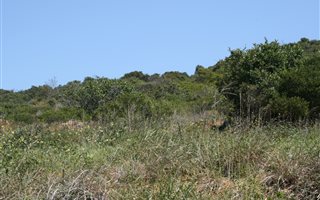 3968 m² Land available in Voorbaai