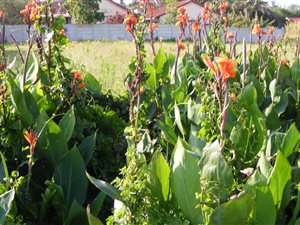 970 m² Land available in Port Edward