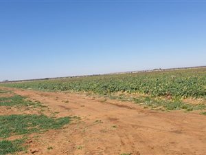 Farm in Vryburg