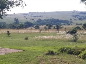 2.1 ha Farm in Laezonia