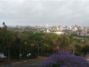 2 Bed House in Musgrave