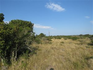 2 ha Land available in Bathurst and Surrounds