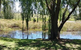 2.3 ha Farm in Magaliesburg