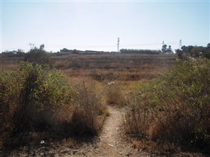 1 ha Land available in Mnandi AH