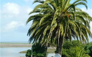 2 Bedroom Apartment in Velddrif