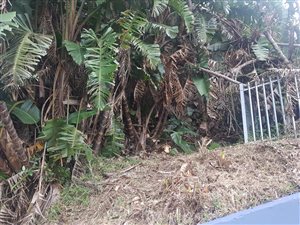 1137 m² Land available in Trafalgar