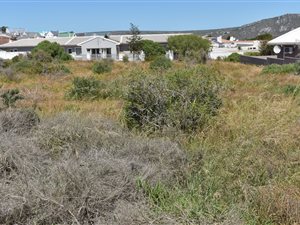 1320 m² Land available in Myburgh Park