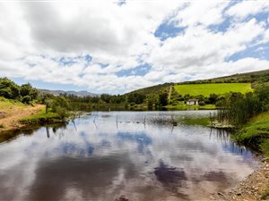 203 ha Farm in Albertinia