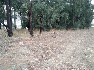 5556 m² Land available in Highbury
