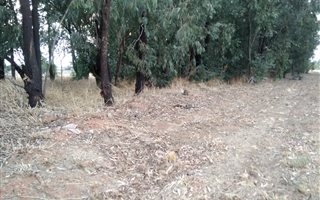 5556 m² Land available in Highbury