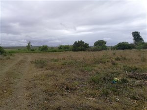 1153 m² Land available in Paradise Beach
