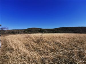8.6 ha Land available in East London Rural