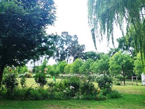 6 ha Farm in Vosloorus