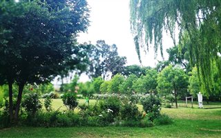 6 ha Farm in Vosloorus