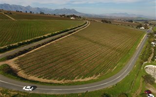 13 ha Farm in Stellenbosch Agricultural